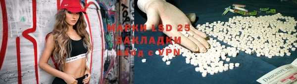 стаф Алексин