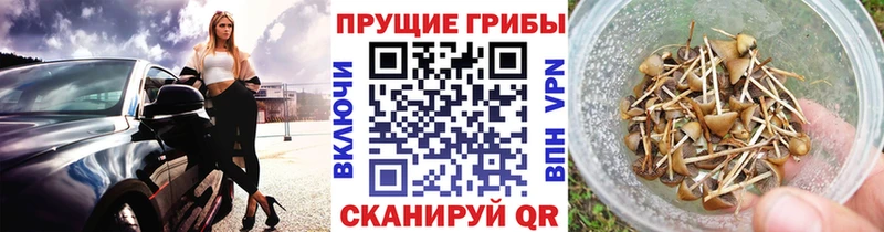 Галлюциногенные грибы Cubensis  Циолковский 