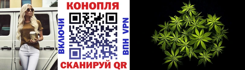 MEGA сайт  дарнет шоп  Циолковский  Бошки марихуана конопля 